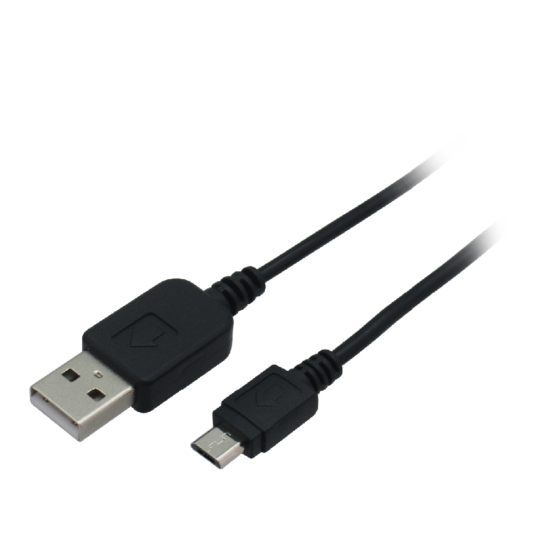 TH19SCK_1