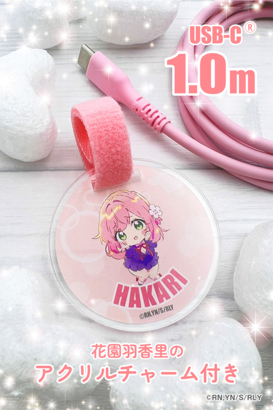 BN-H301CC10P-HK_3