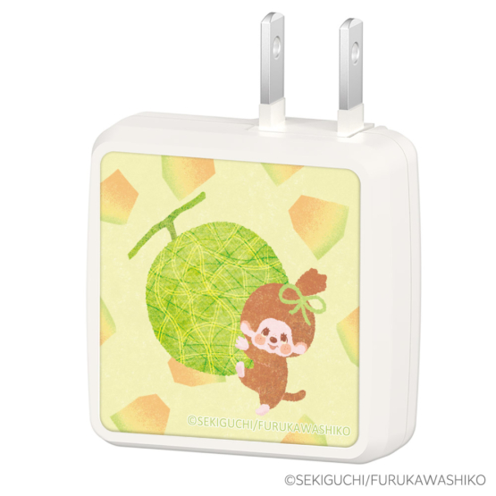 FR-AP91UCW-MC_Melon