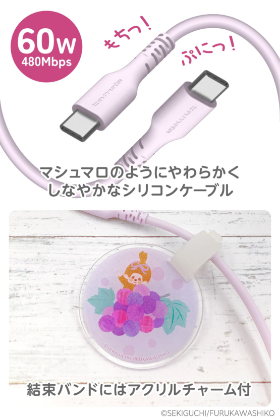 FR-H304CC10-MC_shusei_3