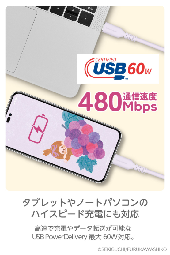 FR-H304CC10-MC_shusei_4