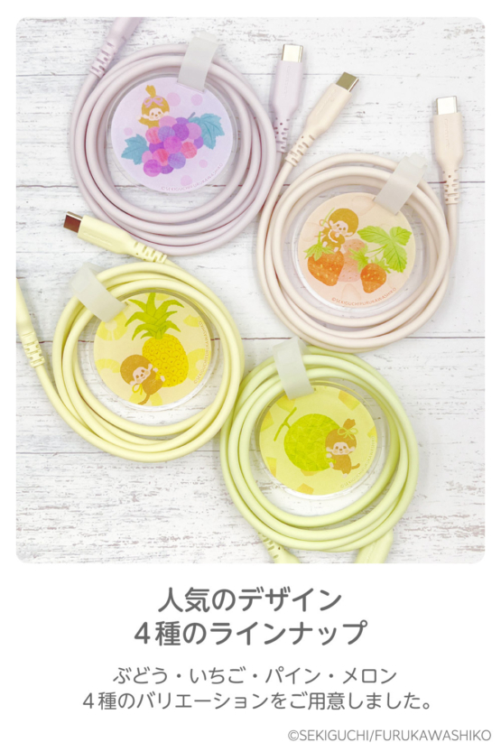 FR-H304CC10-MC_shusei_5