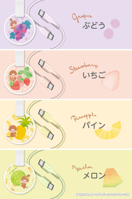 FR-H304CC10-MC_shusei_6