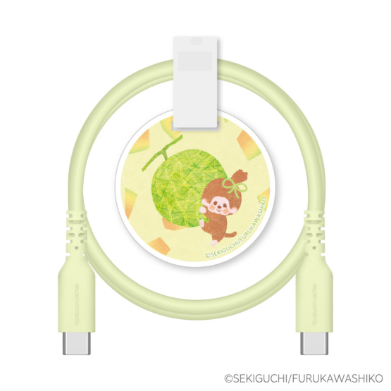 FR-H304CC10-MC_shusei_melon