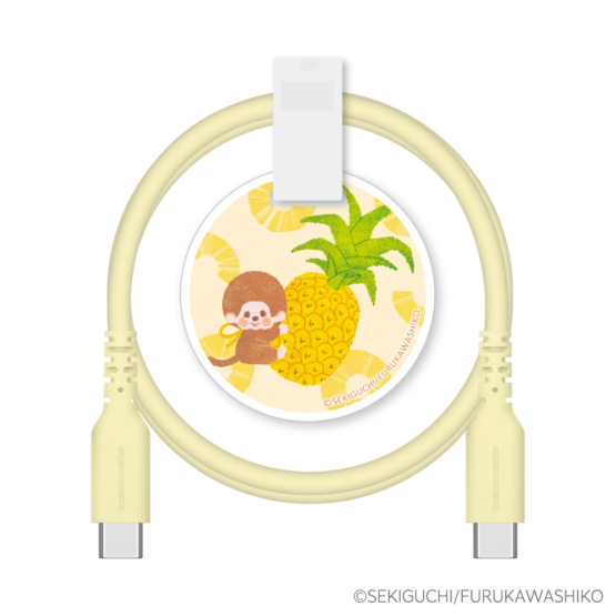 FR-H304CC10-MC_shusei_pineapple