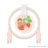 FR-H304CC10-MC_shusei_strawberry