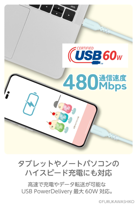 FR-H304CC10-OD_4