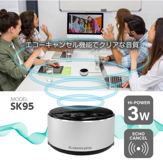 SK95_5