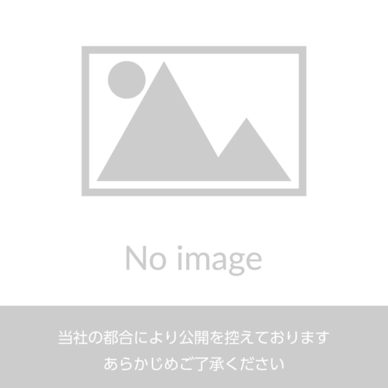 コンセントチャージャー1.0A